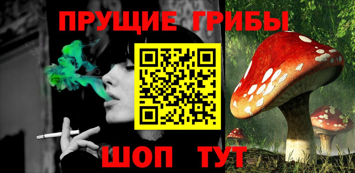 цены наркотик  Галлюциногенные грибы Psilocybine cubensis  Вход с VPN  Сунжа 