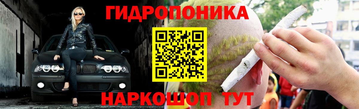 Бошки Шишки тримм Сунжа